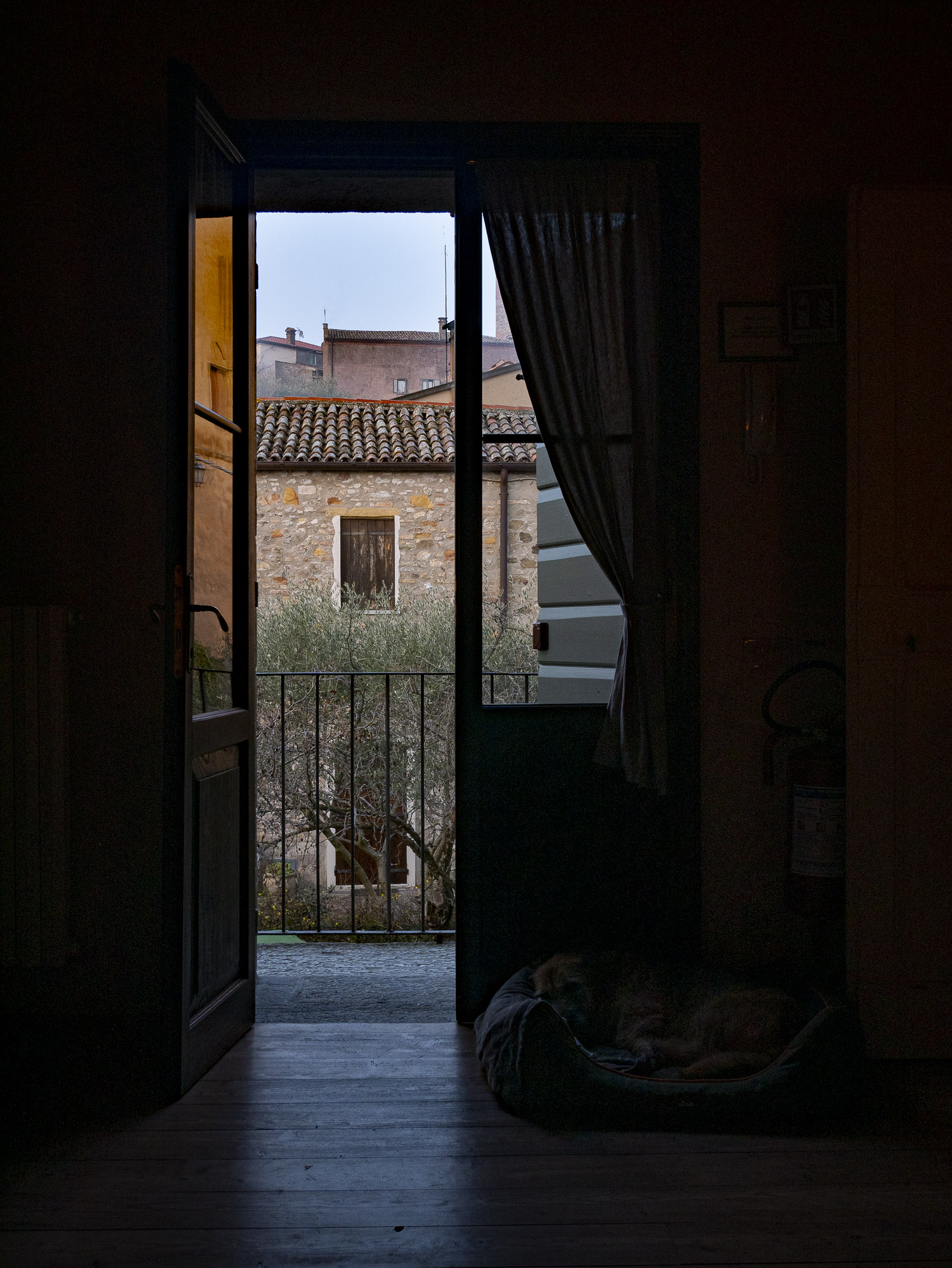Arqua Petrarca, Italy, Photography, Jarred Elrod