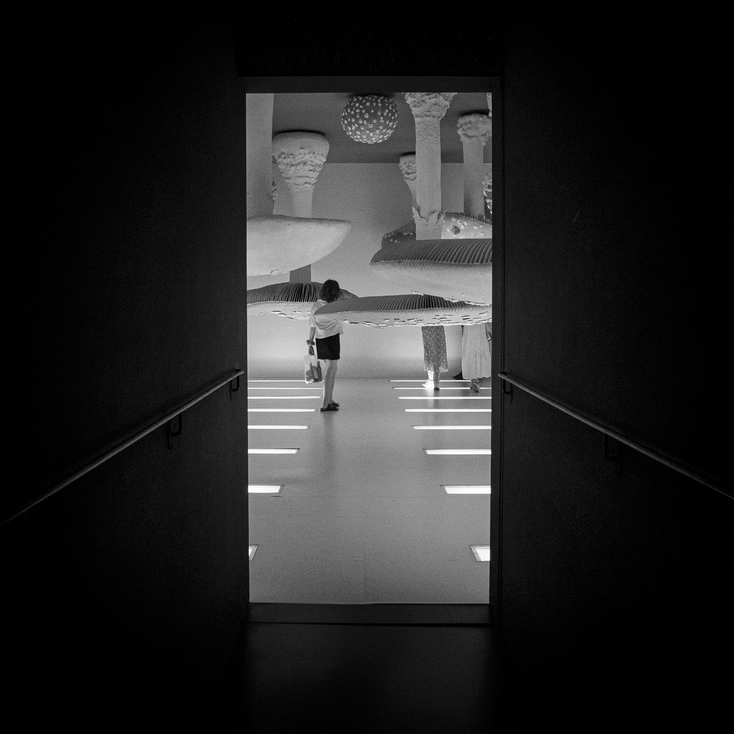 Jarred Elrod, Photography, Prada Foundation, Milan