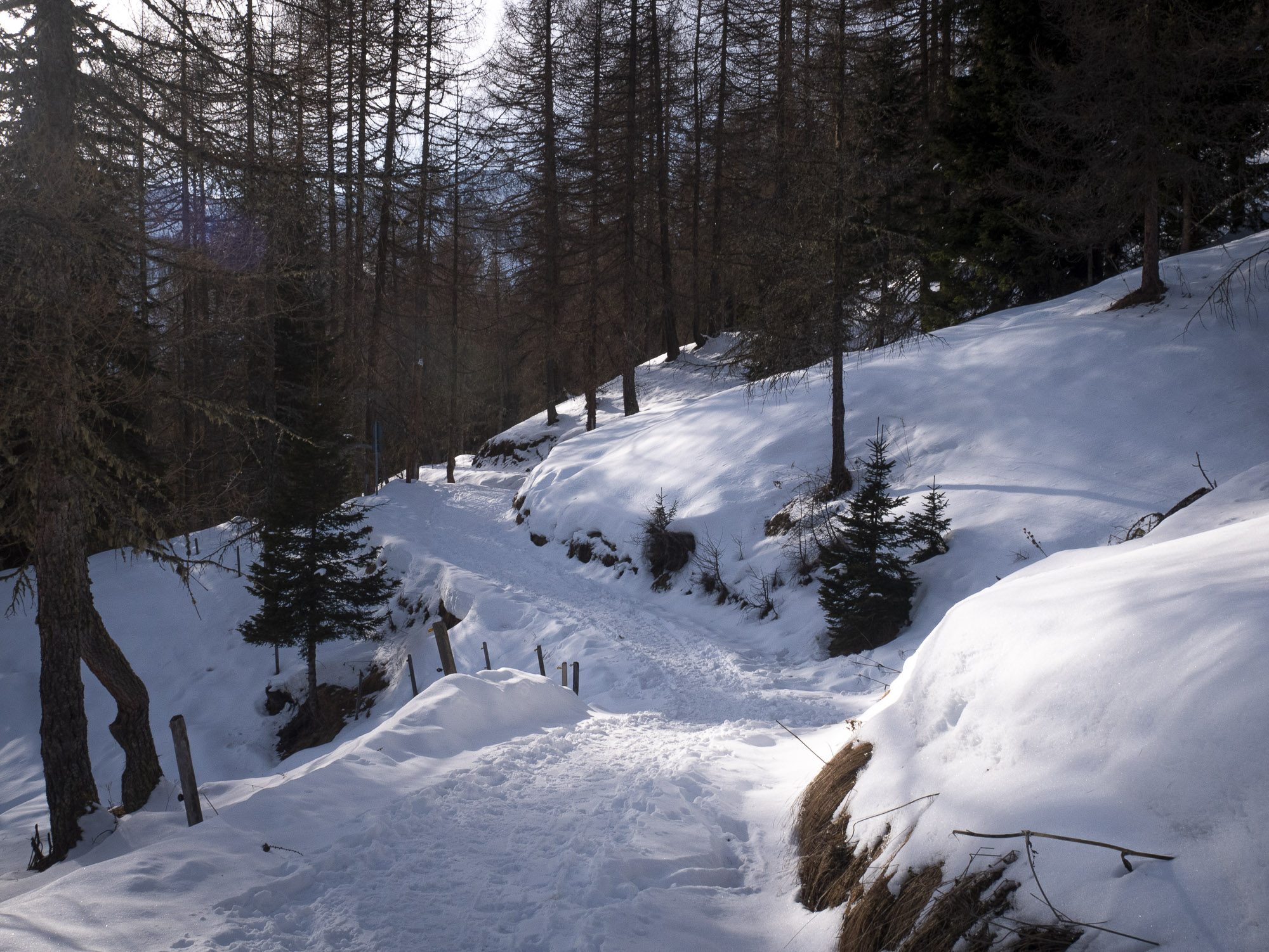 Jarred Elrod, Photography, Italy, Dolomiti Mountains, Travel Photography